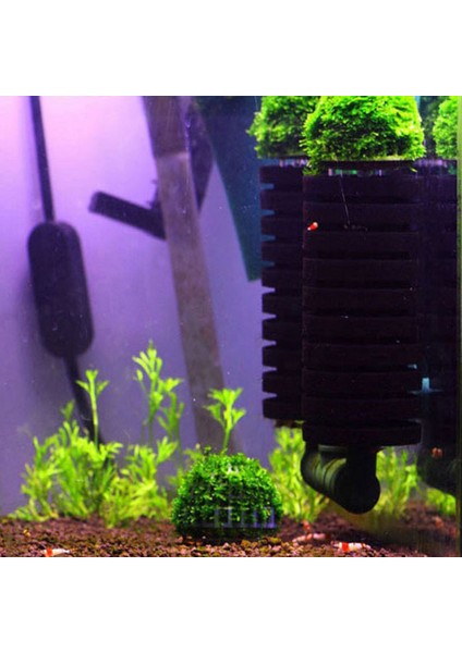 Şeffaf Stil Çap 5cm Akvaryum Dekorasyon Bitkileri Akvaryum Için Bio Moss Topu Tutucu Kristal Kırmızı Karides Evi Balık Tankı Dekor Filtre Aksesuarları (Yurt Dışından) fırsatları