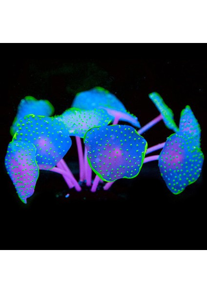 Gül Kırmızısı 5x 15 cm Stili 11 Yapraklar Silikon Parlayan Yapay Balık Tankı Akvaryum Mercan Bitkileri Sualtı Süs Balık Tankı Akvaryum Dekor Aksesuarları (Yurt Dışından) fiyatları