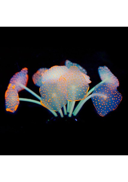 Gül Kırmızısı 5x 15 cm Stili 11 Yapraklar Silikon Parlayan Yapay Balık Tankı Akvaryum Mercan Bitkileri Sualtı Süs Balık Tankı Akvaryum Dekor Aksesuarları (Yurt Dışından) modelleri