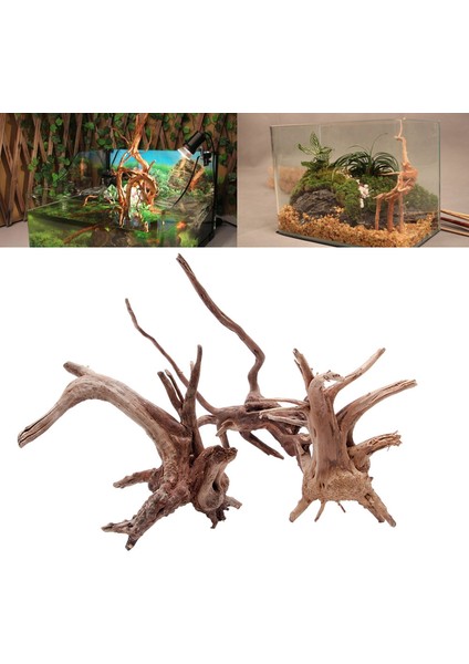 Resimlerin Stiline Bakın Xs Beden Ahşap Balık Tankı Driftwood Doğal Ağaç Gövdesi Driftwood Akvaryum Balık Tankı Tesisi Akvaryum Akvaryum Dekorasyonu Akvaryum Dekor (Yurt Dışından) fiyatları