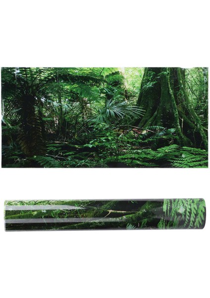 61X41CM Tarzı 5 Boyutları Pvc Sürüngen Teraryum Dekorasyon Akvaryum Arka Plan Posteri Yağmur Ormanları Manzara Balık Tankı Akvaryum Dekorasyon Çıkartmaları (Yurt Dışından)