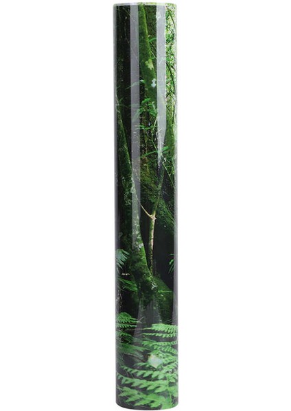 61X41CM Tarzı 5 Boyutları Pvc Sürüngen Teraryum Dekorasyon Akvaryum Arka Plan Posteri Yağmur Ormanları Manzara Balık Tankı Akvaryum Dekorasyon Çıkartmaları (Yurt Dışından) modelleri