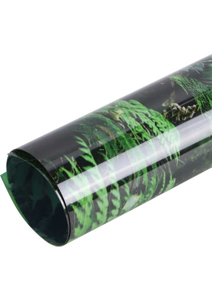 61X41CM Tarzı 5 Boyutları Pvc Sürüngen Teraryum Dekorasyon Akvaryum Arka Plan Posteri Yağmur Ormanları Manzara Balık Tankı Akvaryum Dekorasyon Çıkartmaları (Yurt Dışından) fırsatları