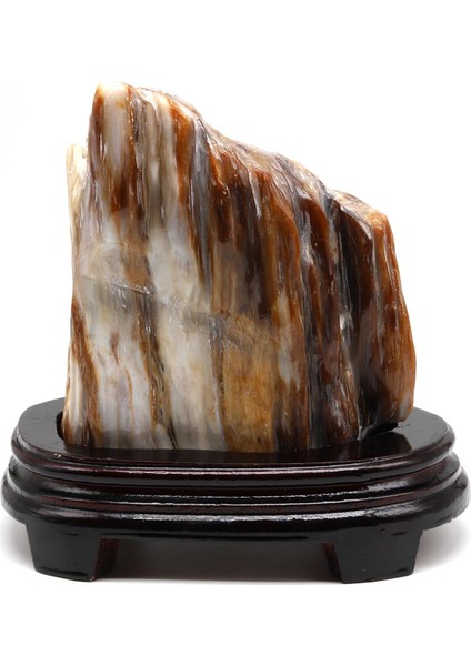 Ağaç Fosili Doğal Taş Standlı Parça