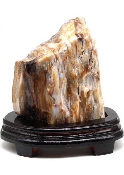 Ağaç Fosili Doğal Taş Standlı Parça fiyatları