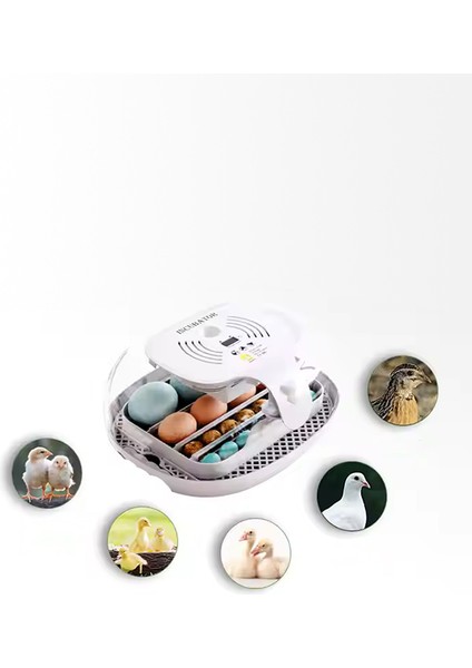 16 Lık Hobi Kuluçka Makinesi | Otomatik Kuluçka Makinesi fiyatları