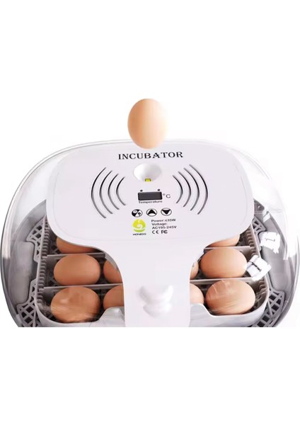 16 Lık Hobi Kuluçka Makinesi | Otomatik Kuluçka Makinesi fırsatları