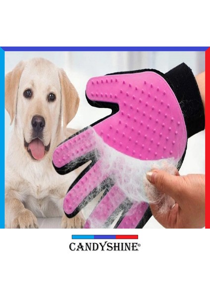 CandyShine Kedi Köpek Tüy Toplayıcı Masaj Yapıcı Tarama Eldiveni Evcil Hayvan Tüy Toplama Tarak Eldiven Pembe