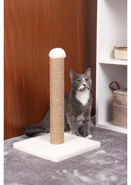 Kedi Tırmalama Tahtası Karışık Renk 50 cm