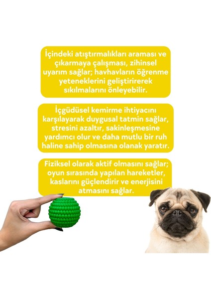 Doğal Kauçuk Köpek Isırma Topu Turuncu Renkli Içine Ödül Maması Saklanabilen Köpek Oyuncağı Toksik Madde Içermez fırsatları