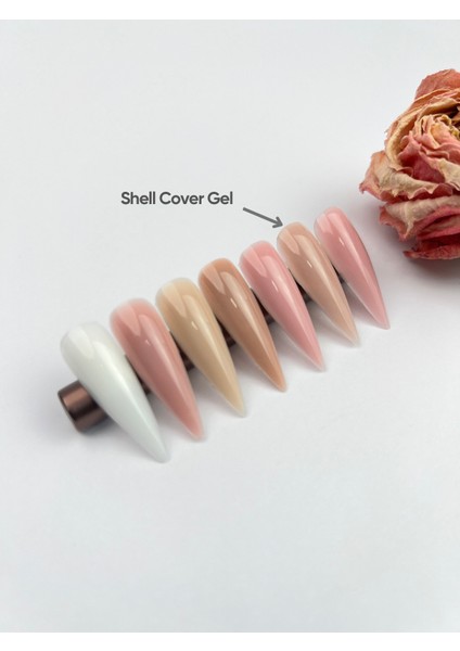 Cold & Fast Gel Shell 30 ml