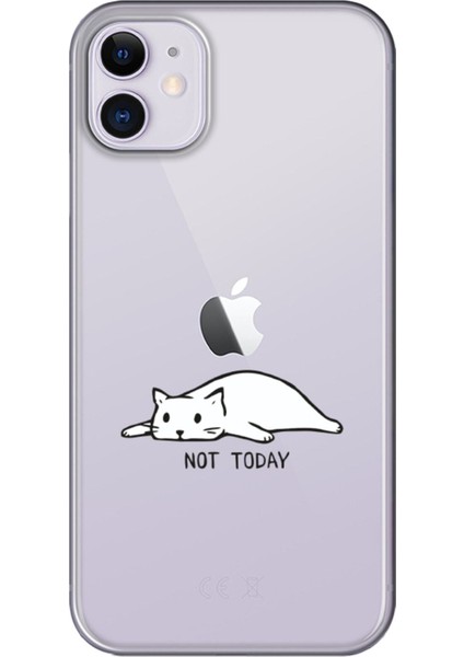 Apple iPhone 11 Not Today Kedi Şeffaf Telefon Kılıfı