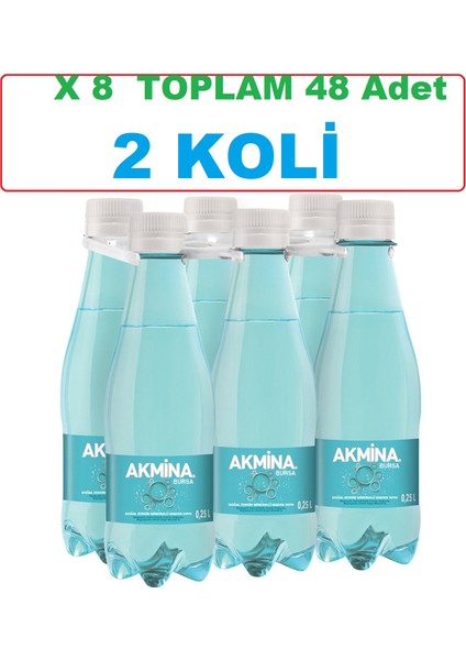 Maden Suyu Pet Şişe 48X250 ml - 2 Koli