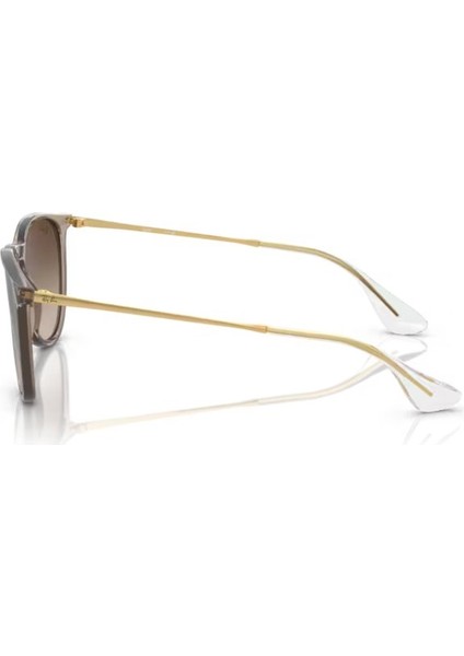Rayban RB4171 674413 54 Güneş Gözlüğü fiyatları