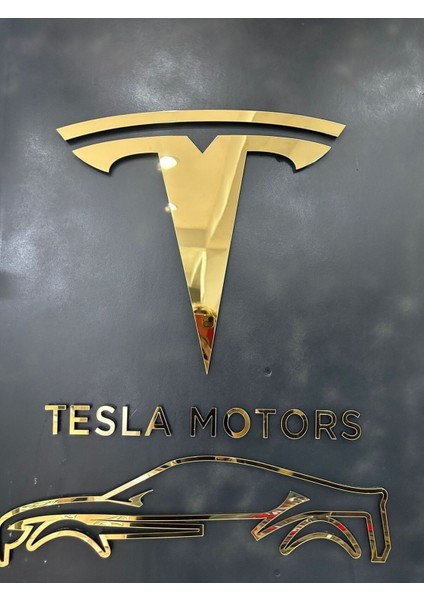 tesla Logolu Duvar Dekorasyonu 40 cm