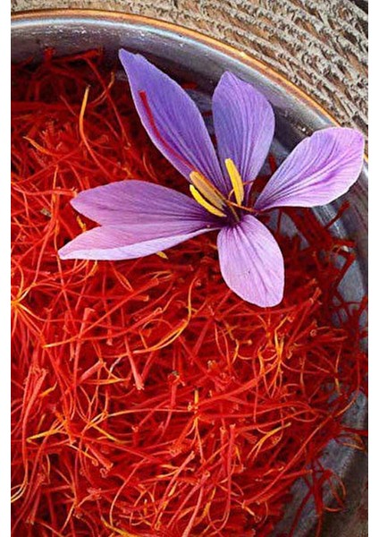 Iran Safran 4gr fiyatları