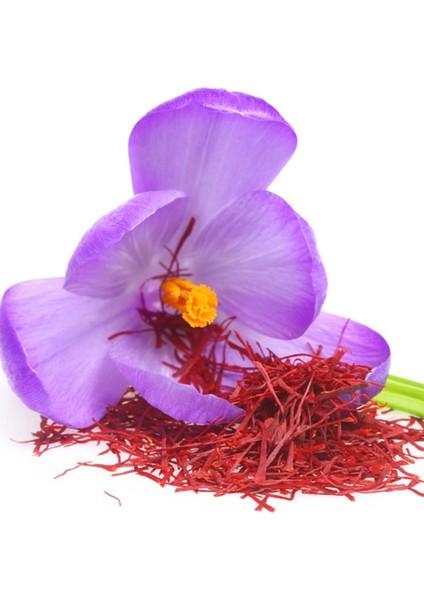 Iran Safran 4gr modelleri