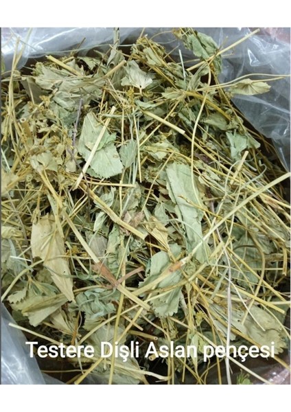 Aslan Pençesi Testere Dişli 90 gr fiyatları