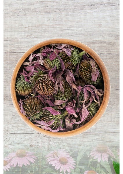 Ekinezya Çiçeği 20 gr fiyatları