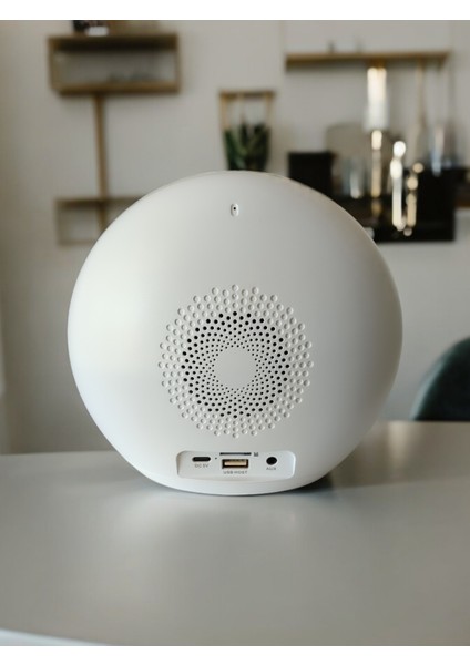 P11 Bluetooth Hoparlör