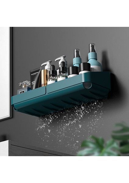 E Tarzı Sondaj Olmadan Kozmetik Banyo Için Depolama Raf Raf Duvar Baharat Organizatör (Yurt Dışından) modelleri