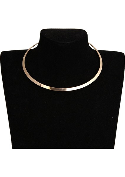 Altın Basit Moda Yuvarlak Torques Collares Gerdanlık Kolye Punk Rock Takı Hip-Hop Aksesuarları Bijoux (Yurt Dışından)