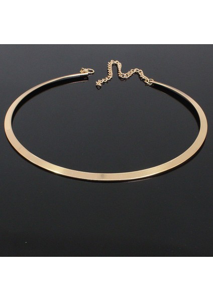 Altın Basit Moda Yuvarlak Torques Collares Gerdanlık Kolye Punk Rock Takı Hip-Hop Aksesuarları Bijoux (Yurt Dışından)