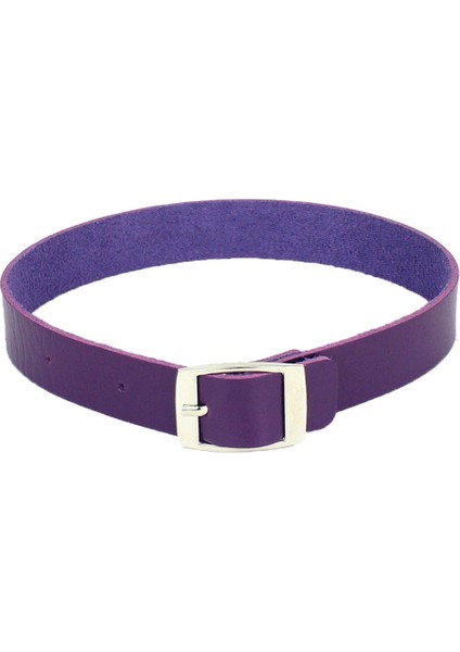 Mor Li Harajuku Kemer Yaka Gerdanlık Kolye Pu Deri Punk Gerdanlık Kadın El Yapımı Boyun Bilezik Yaz Takısı (Yurt Dışından)