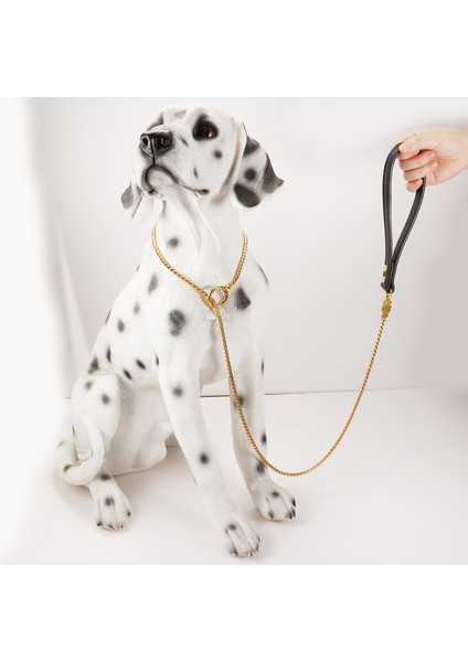 100CM Tarzı Gümüş 316L Paslanmaz Çelik Köpek Tasması ve Tasma Küba Bağlantı Köpek Zincir Kolye Pet Köpek Için Altın Gümüş Renk Takı Sağlam Aksesuarlar (Yurt Dışından) modelleri