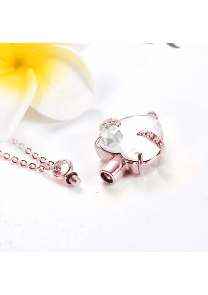 55CM Tarzı Ocak Kalp Şeklinde 12 Birthstone Anıt Külleri Kolye Kremasyon Takı Urn Kolye Charm Hatıra Hediye-Eşleşen Flanel Çanta (Yurt Dışından)