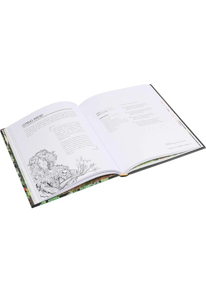 Recipes From The World Of Tolkien: Inspired By The Legends - Robert Tuesley modelleri