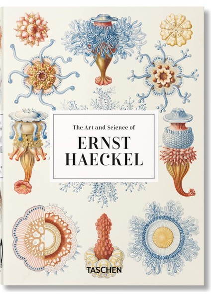 The Art And Science Of Ernst Haeckel. 40TH Anniversary Edition - Rainer Willmann