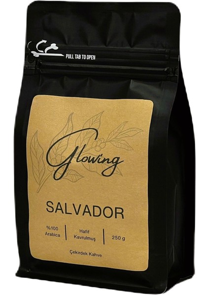 Salvador Hafif Kavrulmuş Çekirdek Kahve (Öğütülmemiş) Arabica 250 gr