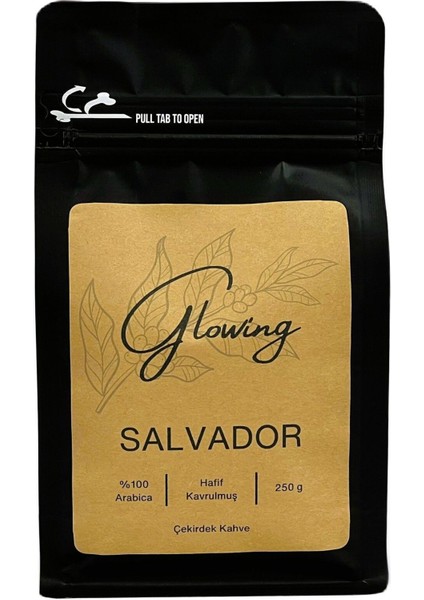 Salvador Hafif Kavrulmuş Çekirdek Kahve (Öğütülmemiş) Arabica 250 gr