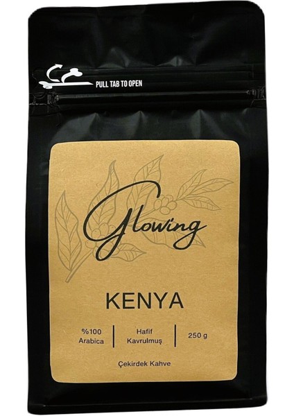 Kenya Hafif Kavrulmuş Çekirdek Kahve (Öğütülmemiş) Arabica 250 gr