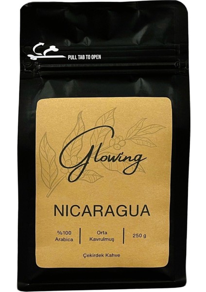 Nicaragua Orta Kavrulmuş Çekirdek Kahve (Öğütülmemiş) Arabica 250 gr fiyatları