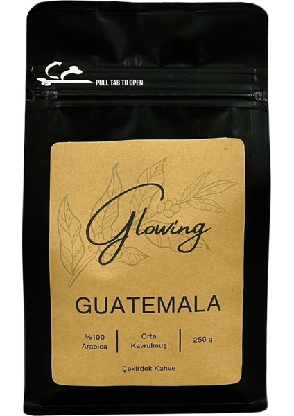 Guatemala Orta Kavrulmuş Çekirdek Kahve (Öğütülmemiş) Arabica 250 gr fiyatları