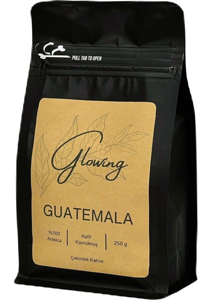 Guatemala Hafif Kavrulmuş Çekirdek Kahve (Öğütülmemiş) Arabica 250 gr