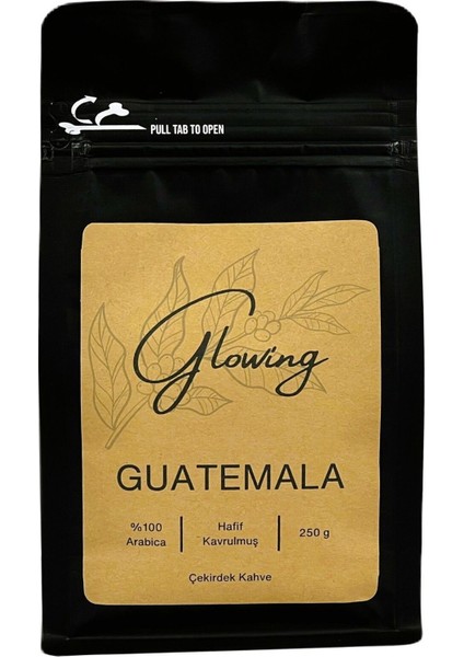 Guatemala Hafif Kavrulmuş Çekirdek Kahve (Öğütülmemiş) Arabica 250 gr