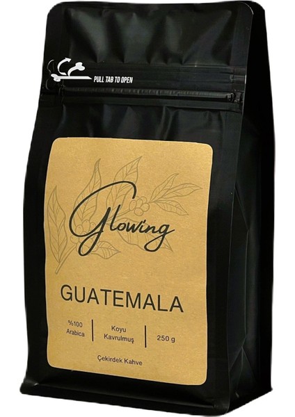 Guatemala Koyu Kavrulmuş Çekirdek Kahve (Öğütülmemiş) Arabica 250 gr
