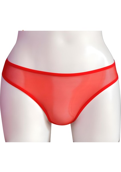Helena Paris Kadın Transparan Taşlı Dantel Detaylı Tanga Slip (2749)