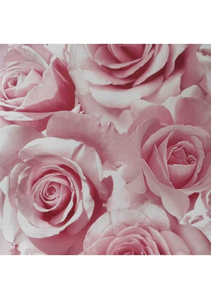 Fıerte Fransız Duvar Kağıdı J367-10 (5m2)