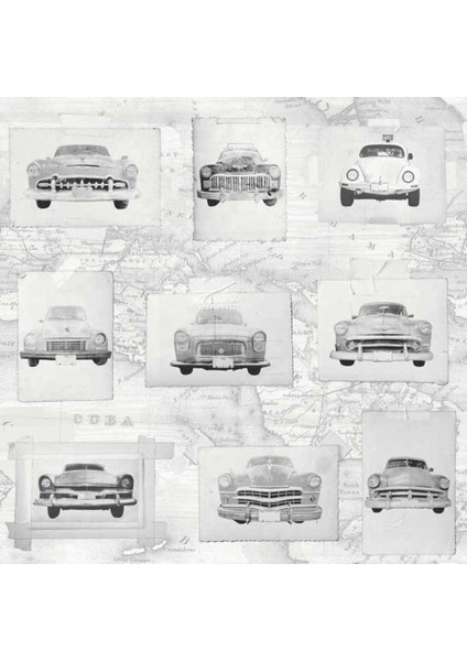 Fıerte Fransız Duvar Kağıdı E742-09 (5m2) fiyatları