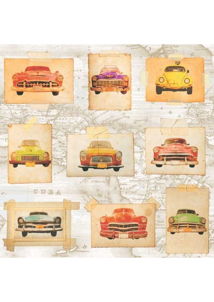 Fıerte Fransız Duvar Kağıdı E742-05 (5m2)