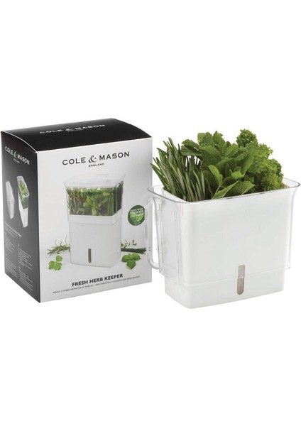 Cole - Mason H105159 Bölmeli Yeşillik Saklama Kabı fiyatları