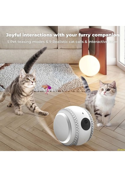 Smart Pet Robot Kedi Köpek Kamerası - Evcil Hayvan Kamerası indirimleri