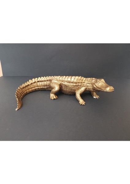 Ab Ev Dekorasyon Timsah Dekor