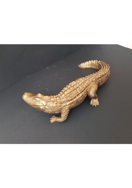 Ab Ev Dekorasyon Timsah Dekor modelleri