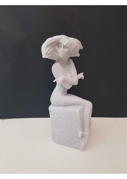 Ab Ev Dekorasyon Ikizler Burcu Dekor Ev Ofis Dekoru fiyatları