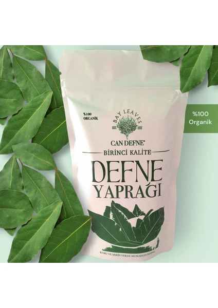 Can Defne Premium Defne Yaprağı 30G Birinci Sınıf  Doğal ve Katkısız Leave Of Daphne Laurus Nobilis